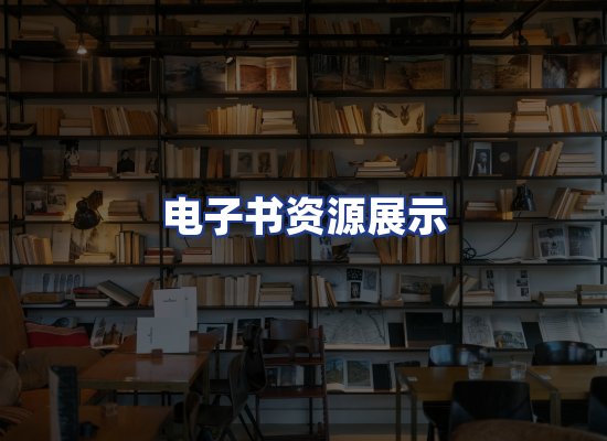 电子书资源展示
